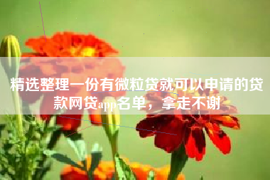 精选整理一份有微粒贷就可以申请的贷款网贷app名单，拿走不谢