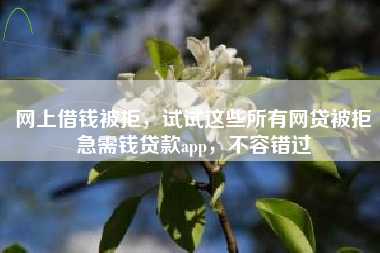 网上借钱被拒，试试这些所有网贷被拒急需钱贷款app，不容错过