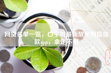 网贷名单一览，口子哥最新放水网贷贷款app，拿走不谢