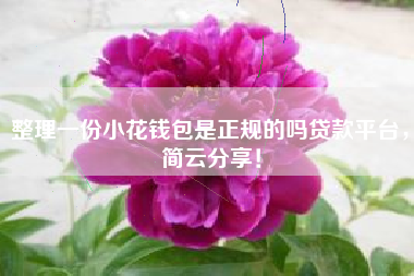 整理一份小花钱包是正规的吗贷款平台，简云分享！