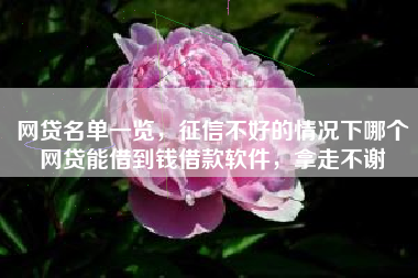 网贷名单一览，征信不好的情况下哪个网贷能借到钱借款软件，拿走不谢