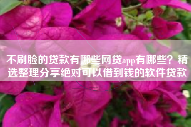 不刷脸的贷款有哪些网贷app有哪些？精选整理分享绝对可以借到钱的软件贷款