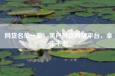 网贷名单一览，黑户网贷网贷平台，拿走不谢