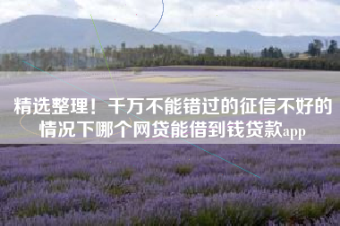 精选整理！千万不能错过的征信不好的情况下哪个网贷能借到钱贷款app
