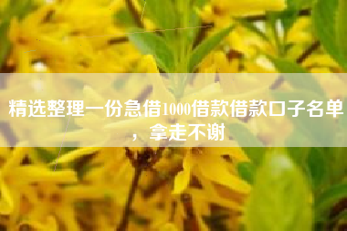 精选整理一份急借1000借款借款口子名单，拿走不谢