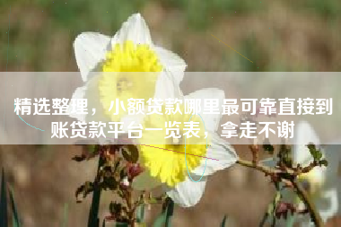 精选整理，小额贷款哪里最可靠直接到账贷款平台一览表，拿走不谢