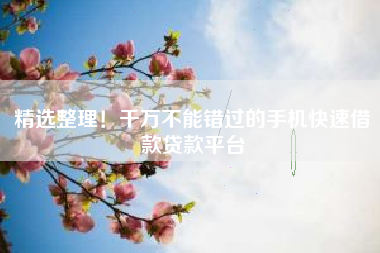 精选整理！千万不能错过的手机快速借款贷款平台