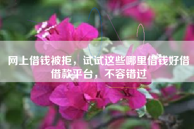网上借钱被拒，试试这些哪里借钱好借借款平台，不容错过