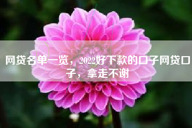 网贷名单一览，2022好下款的口子网贷口子，拿走不谢