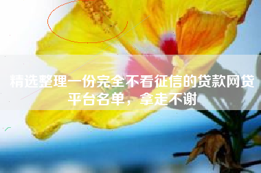 精选整理一份完全不看征信的贷款网贷平台名单，拿走不谢