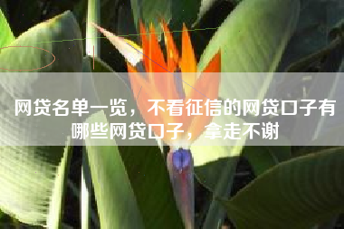 网贷名单一览，不看征信的网贷口子有哪些网贷口子，拿走不谢
