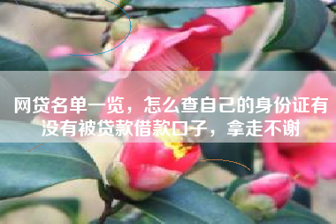 网贷名单一览，怎么查自己的身份证有没有被贷款借款口子，拿走不谢