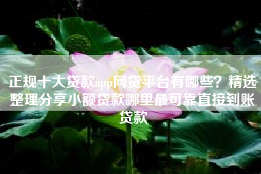 正规十大贷款app网贷平台有哪些？精选整理分享小额贷款哪里最可靠直接到账贷款