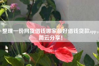 整理一份网贷借钱哪家最好借钱贷款app，简云分享！