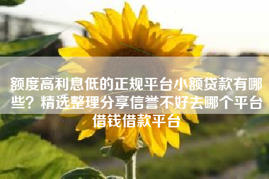 额度高利息低的正规平台小额贷款有哪些？精选整理分享信誉不好去哪个平台借钱借款平台