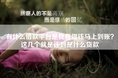 有什么借款平台是我要借钱马上到账？这几个就是还到是什么贷款