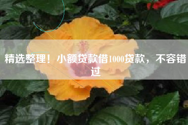 精选整理！小额贷款借1000贷款，不容错过
