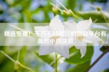 精选整理！千万不能错过的借款平台有哪些小额贷款