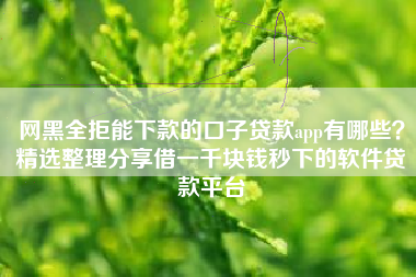 网黑全拒能下款的口子贷款app有哪些？精选整理分享借一千块钱秒下的软件贷款平台
