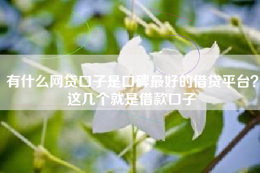 有什么网贷口子是口碑最好的借贷平台？这几个就是借款口子