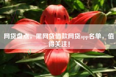 网贷盘点，黑网贷借款网贷app名单，值得关注！