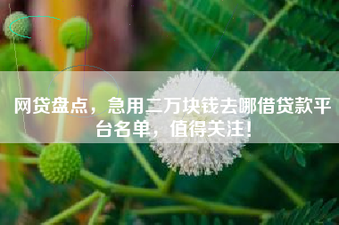 网贷盘点，急用二万块钱去哪借贷款平台名单，值得关注！