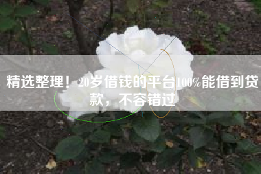 精选整理！20岁借钱的平台100%能借到贷款，不容错过