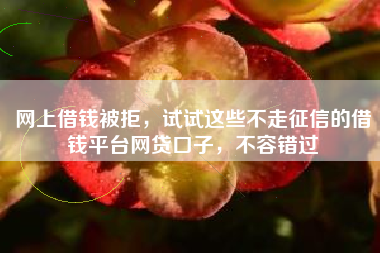 网上借钱被拒，试试这些不走征信的借钱平台网贷口子，不容错过
