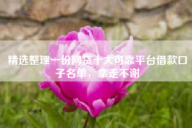 精选整理一份网贷十大可靠平台借款口子名单，拿走不谢