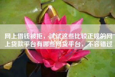 网上借钱被拒，试试这些比较正规的网上贷款平台有哪些网贷平台，不容错过