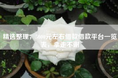 精选整理，5000元左右借款借款平台一览表，拿走不谢
