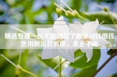 精选整理一份大数据花了哪里可以借钱急用啊贷款名单，拿走不谢