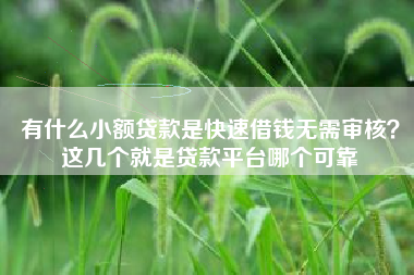 有什么小额贷款是快速借钱无需审核？这几个就是贷款平台哪个可靠