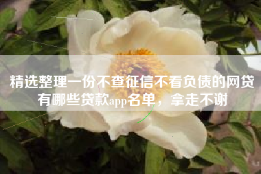 精选整理一份不查征信不看负债的网贷有哪些贷款app名单，拿走不谢
