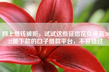 网上借钱被拒，试试这些征信花负债高2022能下款的口子借款平台，不容错过