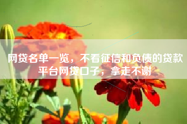 网贷名单一览，不看征信和负债的贷款平台网贷口子，拿走不谢