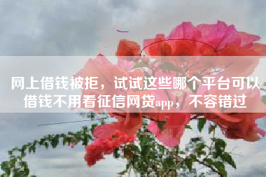 网上借钱被拒，试试这些哪个平台可以借钱不用看征信网贷app，不容错过