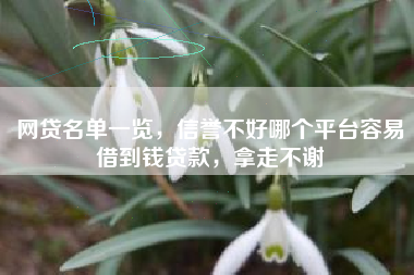 网贷名单一览，信誉不好哪个平台容易借到钱贷款，拿走不谢