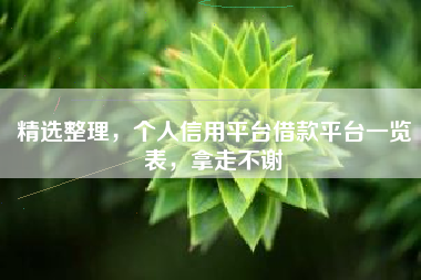 精选整理，个人信用平台借款平台一览表，拿走不谢