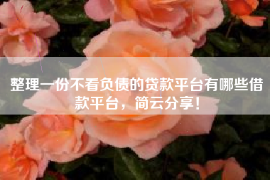 整理一份不看负债的贷款平台有哪些借款平台，简云分享！