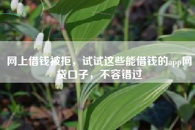 网上借钱被拒，试试这些能借钱的app网贷口子，不容错过