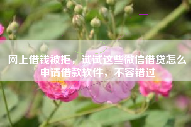 网上借钱被拒，试试这些微信借贷怎么申请借款软件，不容错过