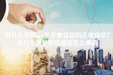 有什么贷款app是不查征信的正规贷款？这几个就是微信借贷怎么申请