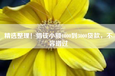 精选整理！借钱小额1000到3000贷款，不容错过
