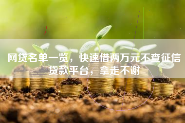 网贷名单一览，快速借两万元不查征信贷款平台，拿走不谢