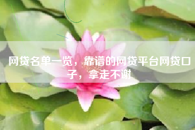 网贷名单一览，靠谱的网贷平台网贷口子，拿走不谢