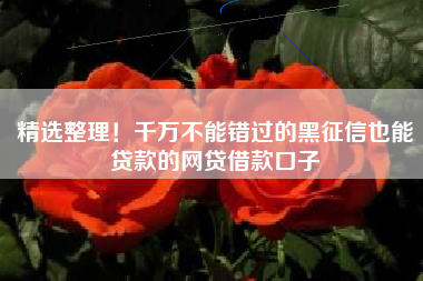 精选整理！千万不能错过的黑征信也能贷款的网贷借款口子