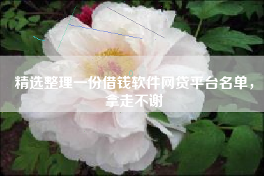 精选整理一份借钱软件网贷平台名单，拿走不谢