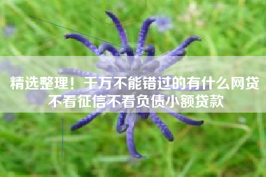 精选整理！千万不能错过的有什么网贷不看征信不看负债小额贷款
