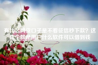有什么网贷口子是不看征信秒下款？这几个就是黑户什么软件可以借到钱